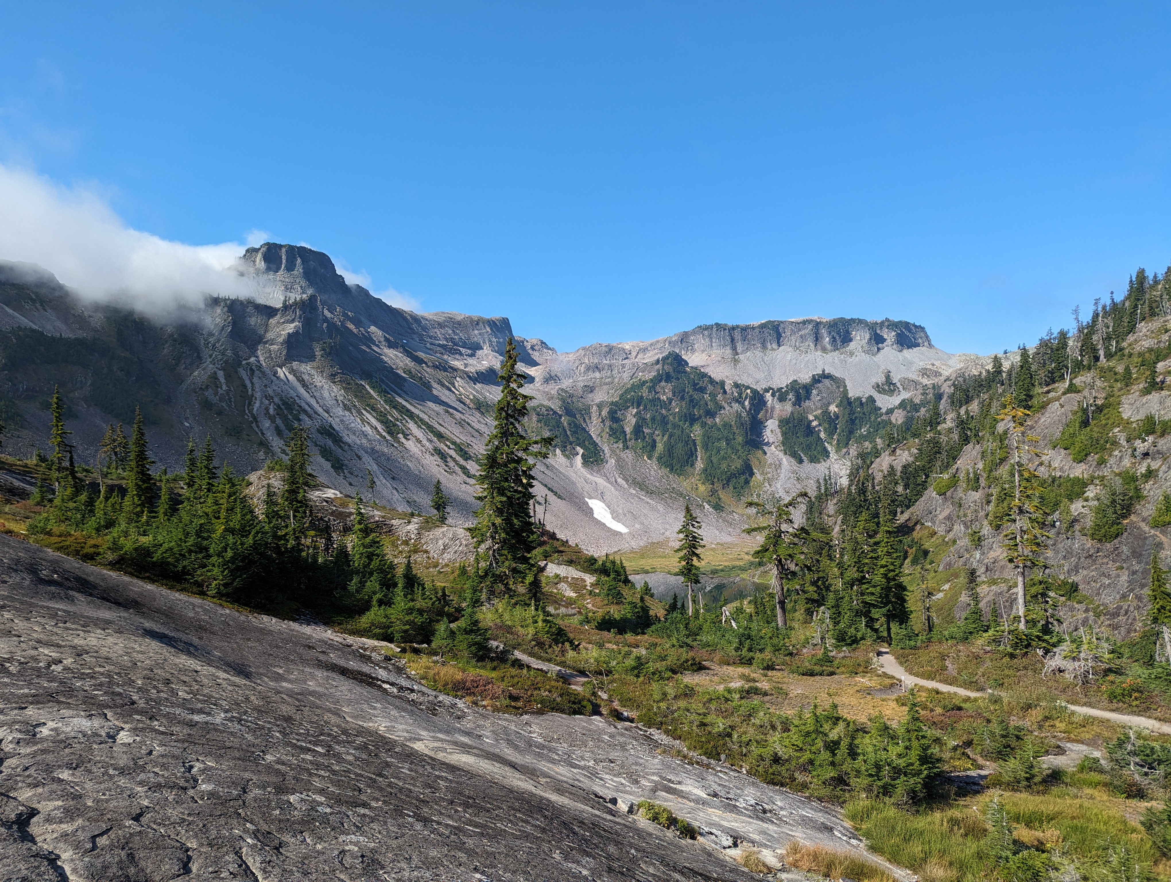 Washington State 2025 8